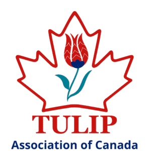 https://tulipcanada.org/wp-content/uploads/2025/11/2-300x300.png